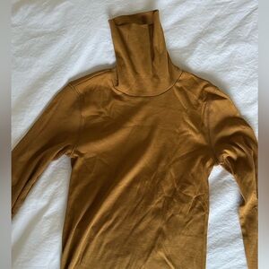 NEW Everlane Pima Micro Rib Turtleneck in Golden Brown Burnt Orange